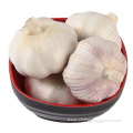 Fresh Chinese 4P Pure White Garlic